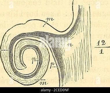 Manuel D Histologie Experimentale Pk Stock Photo Alamy