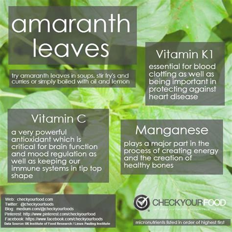 Image Result For Nutrient In Leaf Of Amaranthus Amaranth Health