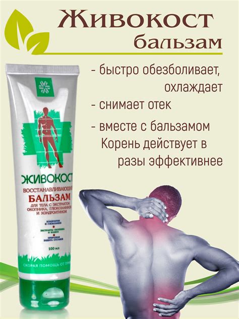 Живокост Сибирское здоровье / обезболивающий бальзам для суставов ...
