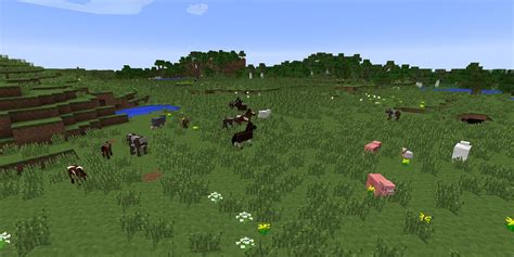 Best Minecraft Survival Biomes