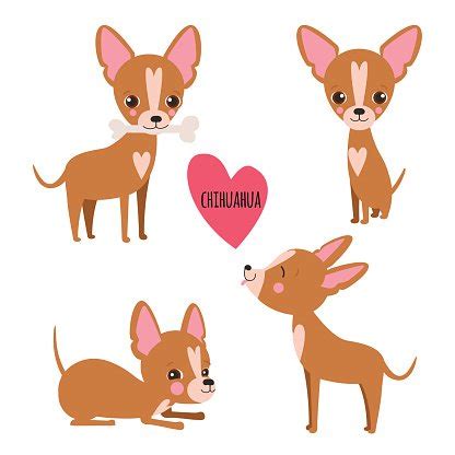 Funny Chihuahuas Clip Art Library