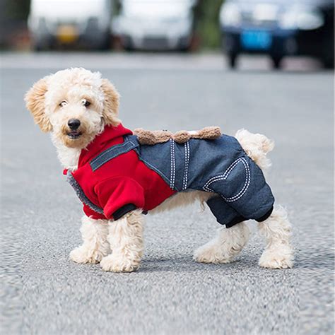 Ahorros Directos Y Cachorro De Invierno Lindo Oso Traje De Una Pieza