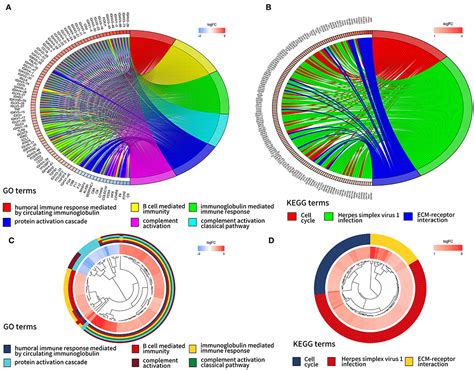 Frontiers Expression Pattern And Prognostic Value Of Key Regulators