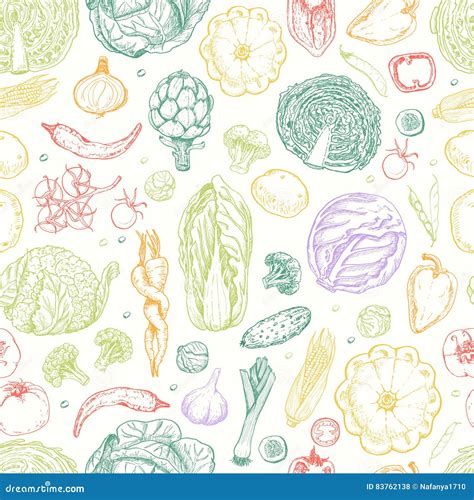 Seamless Pattern With Vegetables Stock Vector Illustration Of Drawing