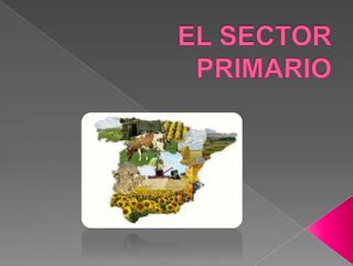 Ciencias Sociales De Primaria El Sector Primario