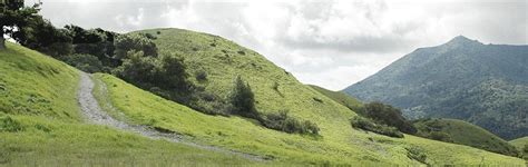 Bald Hill - Marin County Parks