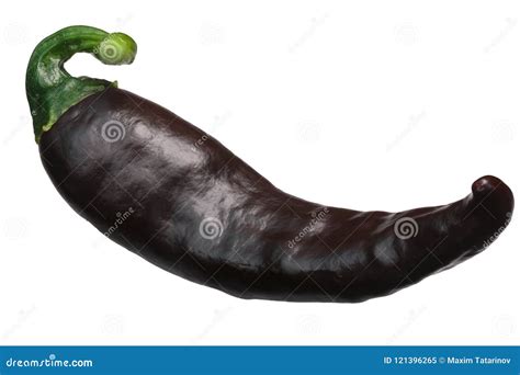 Brown Chilaca Pasilla Chile Pepper, Paths Stock Image - Image of food, isolated: 121396265