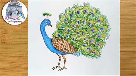 How To Draw A Peacock Step By Step Youtube