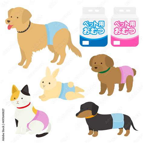 stock vector adobe stock