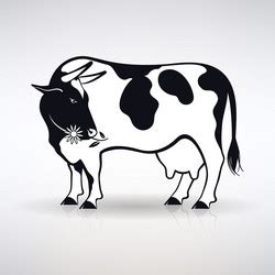 Dairy Cow Silhouette Vector Images (over 5,100)