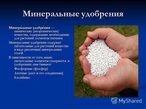 Презентация на тему: "Минеральные удобрения. Вред или польза ...
