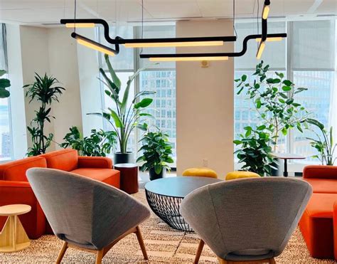 10 Best Low Light Plants For Office That Are Low Maintenance