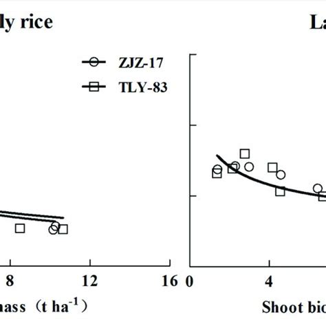 Critical Dilution Curves Of Early Rice Zjz N C W