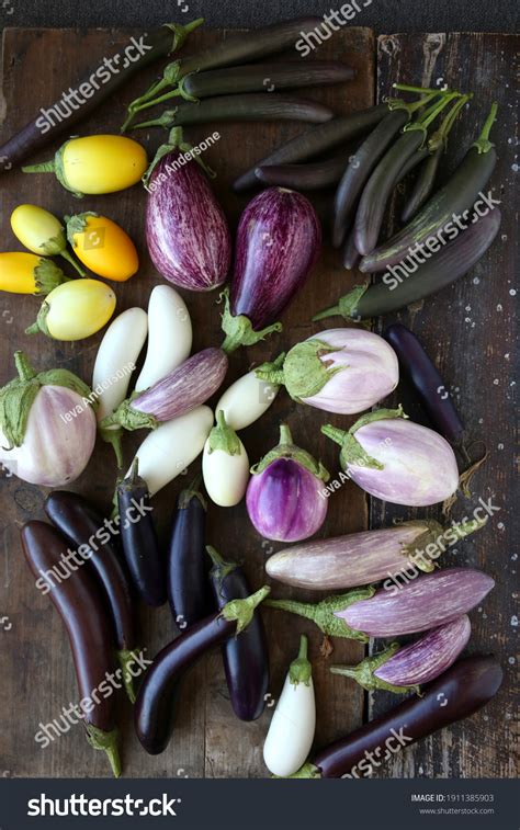 16 883 Imágenes De Eggplant With Dark Background Imágenes Fotos Y Vectores De Stock