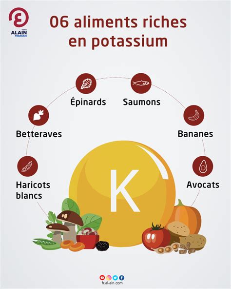 6 Aliments Riches En Potassium