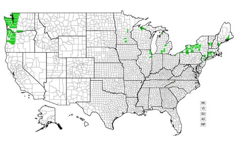 Mapping The Threat: Understanding The Distribution Of Giant Hogweed
