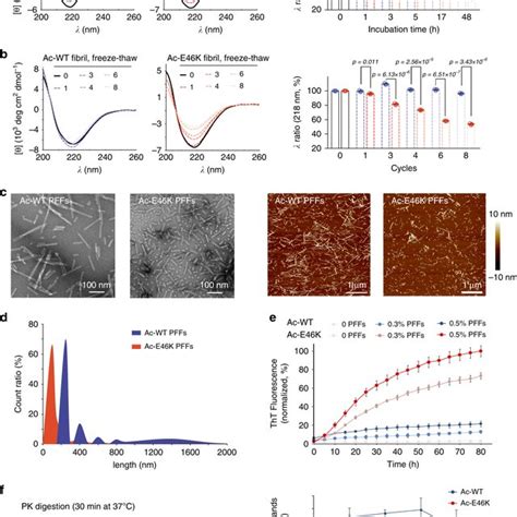 Cryo Em Structure Of The Ac E46k α Syn Fibril A Top View Of The