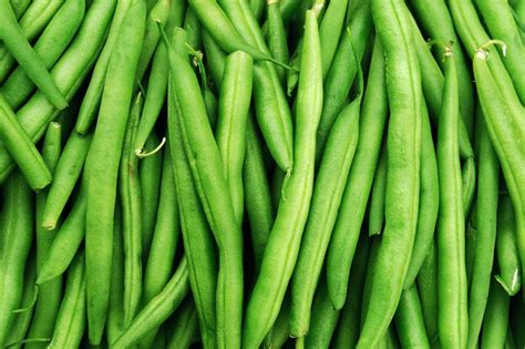 Guide to Green Beans: 10 Common Types of Green Beans - 2022 ...