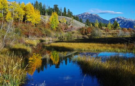 Wallpaper Autumn Trees Mountains Slope The Sky Lake For Mobile And