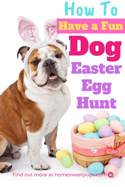 How To Have A Fun Dog Easter Egg Hunt | Home Sweet Pups