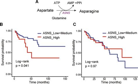 Sex Differences In Colon Cancer Metabolism Reveal A Novel Subphenotype