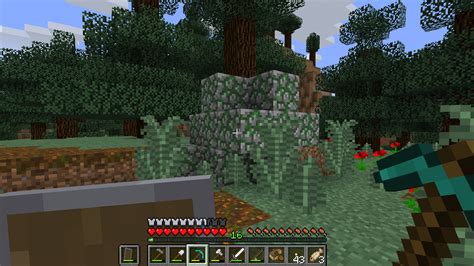 I Found This Pile Of Mossy Cobblestone Whilst On A Bit Of An Expedition