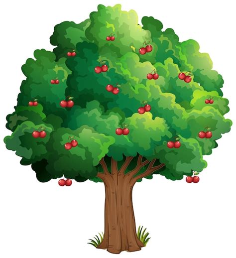 Free Vector | Cherry tree isolated on white background