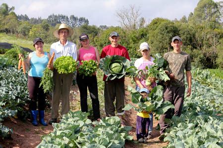 Pequenos agricultores fazem muita diferença Blog Paesi metalúrgica