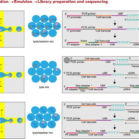 Timeline Of Single Cell Sequencing Milestones And The Publications Of Download Scientific