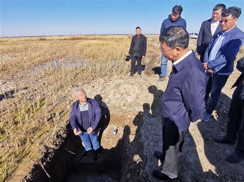 【吉林融媒】中科院“黑土粮仓”科技会战大安盐碱地万亩核心示范区水稻秋收测产，成果显著 中国科学院东北地理与农业生态研究所