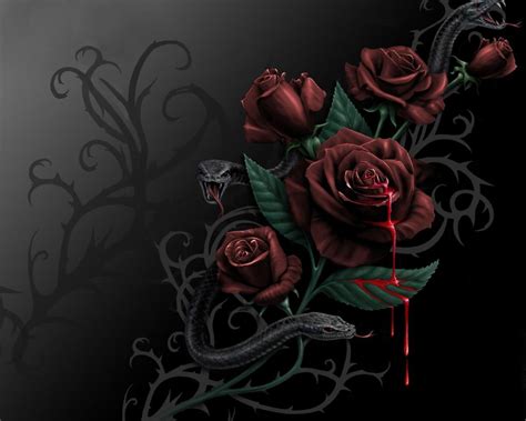 Blood Rose Wallpapers - Wallpaper Cave