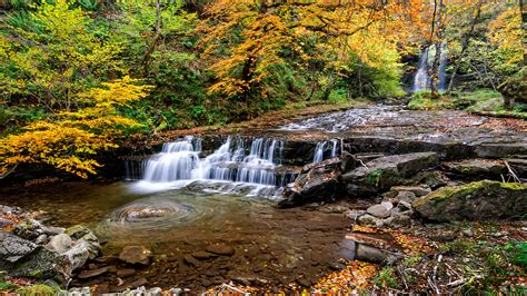 Fondos De Pantalla Espana R O Cascada Agua Hormigas Bosque