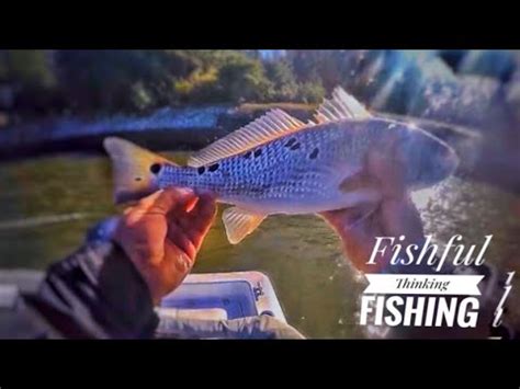 This Is The EASIEST WAY To Catch REDFISH In Charleston SC YouTube