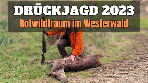 ROTWILDTRAUM auf Drückjagd I 2023 YouTube