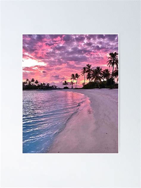 Beach Sunset Tropical Beach Tropical Sunset Calm Beach Pink Sunset Purple Sunset Palm