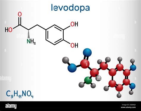 Levodopa To Dopamine