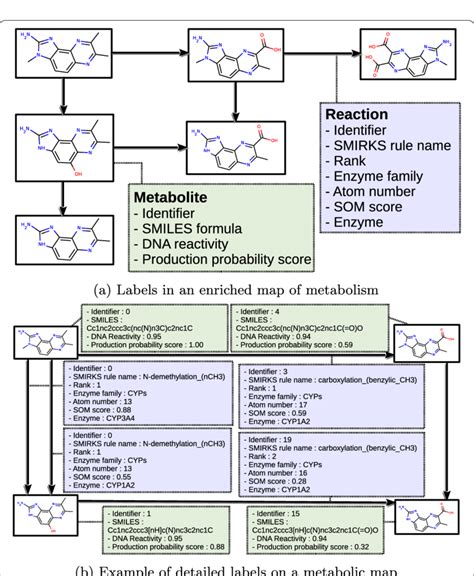 Labels Of A Map Of Metabolism A Metabolites Are Depicted By Their 2d