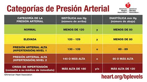 Clasificación De La Tensión Arterial Esquemas Y Mapas Conceptuales De