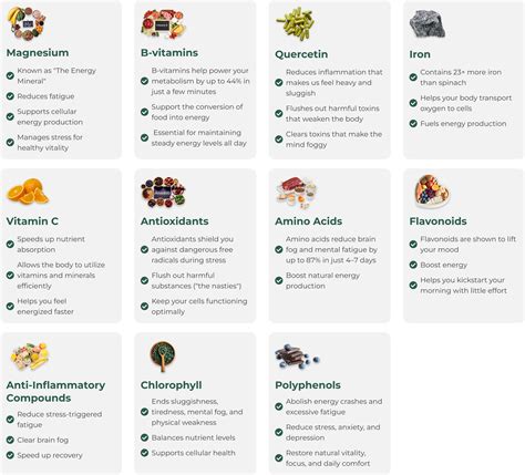 Moringa Energy | Men – Rosabella