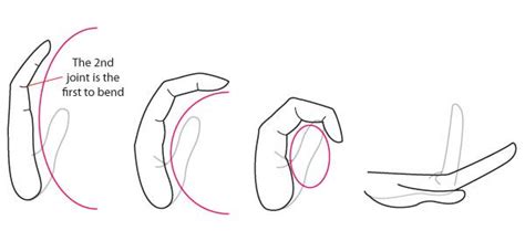 Human Anatomy Fundamentals How To Draw Hands Tuts Design