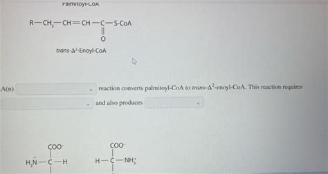 For Each Pair Of Biomolecules Identify The Type Of Chegg