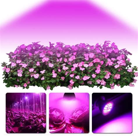 Led Planta Crescer Luz W W W E Espectro Completo Led Planta