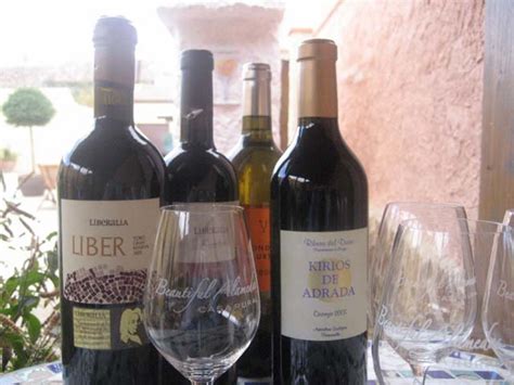 Wine Tourism In Spain Beautiful Alamedas Winery Tours Routes Wine