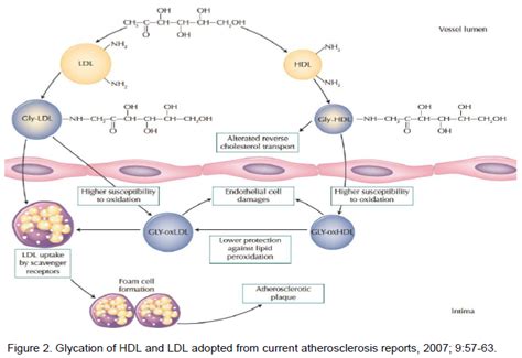 African Journal Of Biochemistry Research Glycated Proteins Clinical