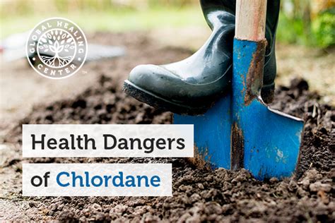 Health Dangers of Chlordane