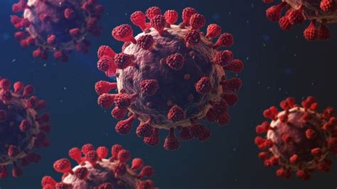 covid   virus corona  mematikan bbc news indonesia