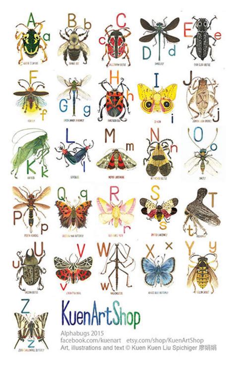 A Z 26 Insect Art Print Abc North America Insect Alphabet Etsy