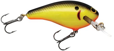 Top 5 Largemouth Bass Fishing Lures With Image · Emailcash · Storify