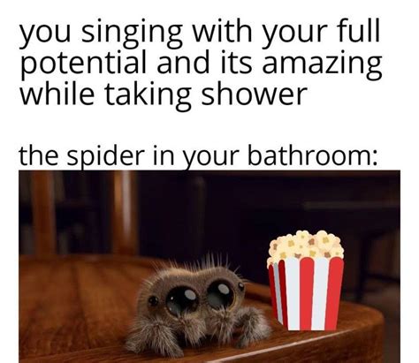 important. | /r/wholesomememes | Lucas the Spider | Know Your Meme