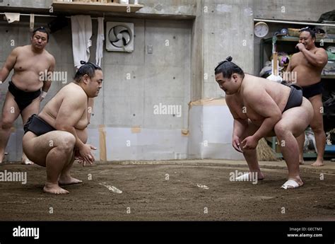 TOKYO, JAPAN - May 18, 2016: Japanese sumo wrestler training in their ...